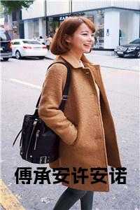 傅承安许安诺完结