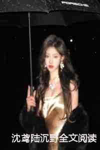 沈鸢陆沉野全文阅读