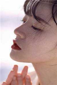 免费赏析太子侍读：我在东宫签到成权臣