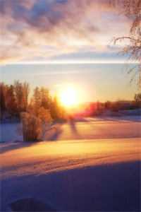 带崽离职，疯批总裁别太爱