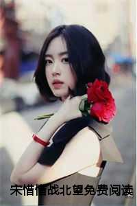 宋惜惜战北望免费阅读