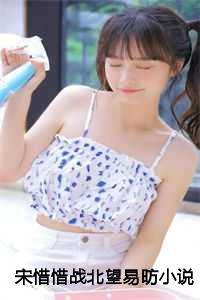宋惜惜战北望易昉小说免费阅读