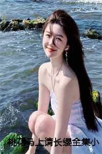 桃花马上请长缨全集小说