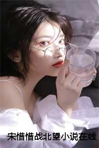 宋惜惜战北望小说在线阅读