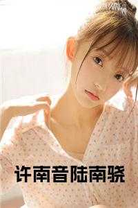 许南音陆南骁全文阅读
