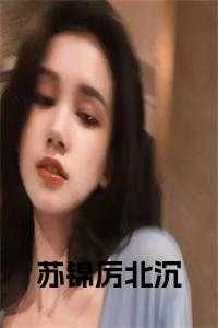 苏锦厉北沉正版无弹窗