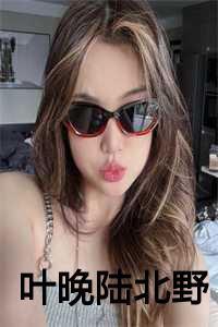 叶晚陆北野全章节