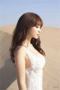 一切为了部落小说免费阅读精选小说