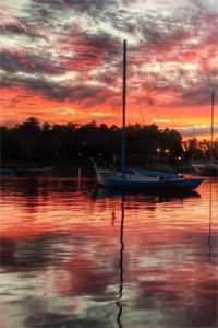 顾少娶一赠二秦岚全文版