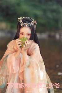 苏清婉林冷殇二少爷