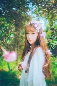 新任官途，我成了市长红人全集阅读