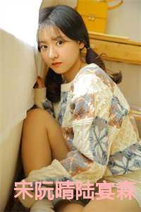 宋阮晴陆宴森