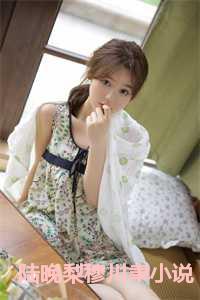 陆晚梨穆川聿小说