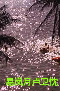 易岚月卢卫忱