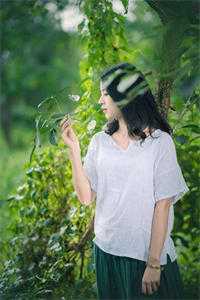 精品全篇星辰入梦来