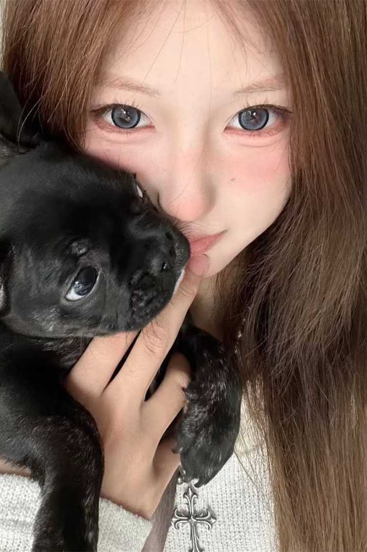 桑向晚陆平津小说