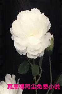 慕恩傅司尘免费小说