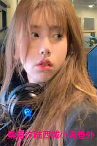 桑南汐陆西城小说番外