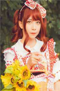 宫女的儿子又怎样？照样统一六界全集阅读