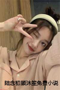 陆念初顾沐笙免费小说