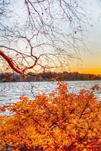 全文小说替身也有爱情春天：大佬们争着宠我