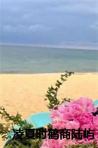 凌夏时鹤商陆屿小说