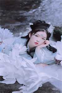 完整作品阅读报告王爷,王妃出逃1001次全文免费