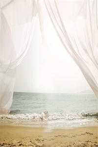 重生之鹏程万里免费畅销小说