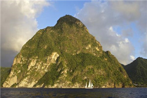 重生末世：空间在手，主打一个躺平全章节阅读