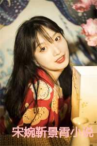 宋婉靳景霄小说