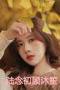 陆念初顾沐笙