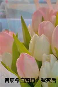 贺辰希白落冉：我死后妻子后悔了