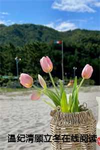 温纪清顾立冬在线阅读