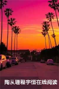 陶从珊程宇恒全集阅读