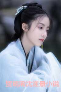 贺明浠沈淮景小说