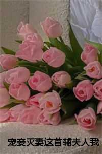 宠妾灭妻这首辅夫人我不当了txt番外