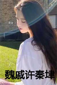 魏戚许秦垏txt番外