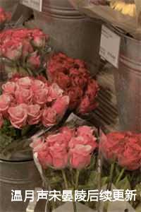 温月声宋晏陵后续更新