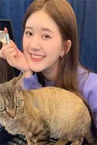 觉醒至尊领主系统：召大将，换兵种完结小说畅读精品小说