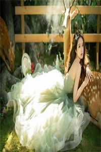 帝朝之主，朕的实力是全朝总和！长篇小说