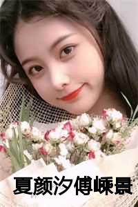 夏颜汐傅嵊景