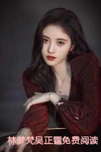 林梦梵吴正霆免费阅读