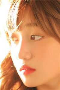 我在星际直播美食全文