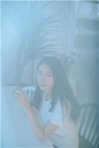 权路迷局：绯色官途