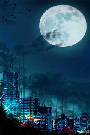 完整文本阅读神医王妃：皇叔宠妻如命