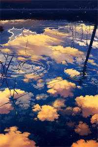 兽潮爆发！哥激活了华夏守护神系统精品阅读