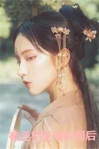 被丞相送到敌国后