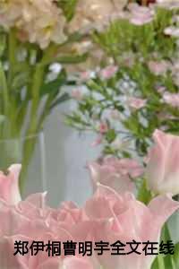 郑伊桐曹明宇全文在线阅读