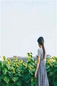 睁眼就分家，她带崽住破屋后暴富了完整阅读