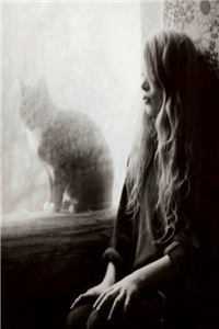 赤脚医生，你告诉我夫人是武功高手？全文浏览